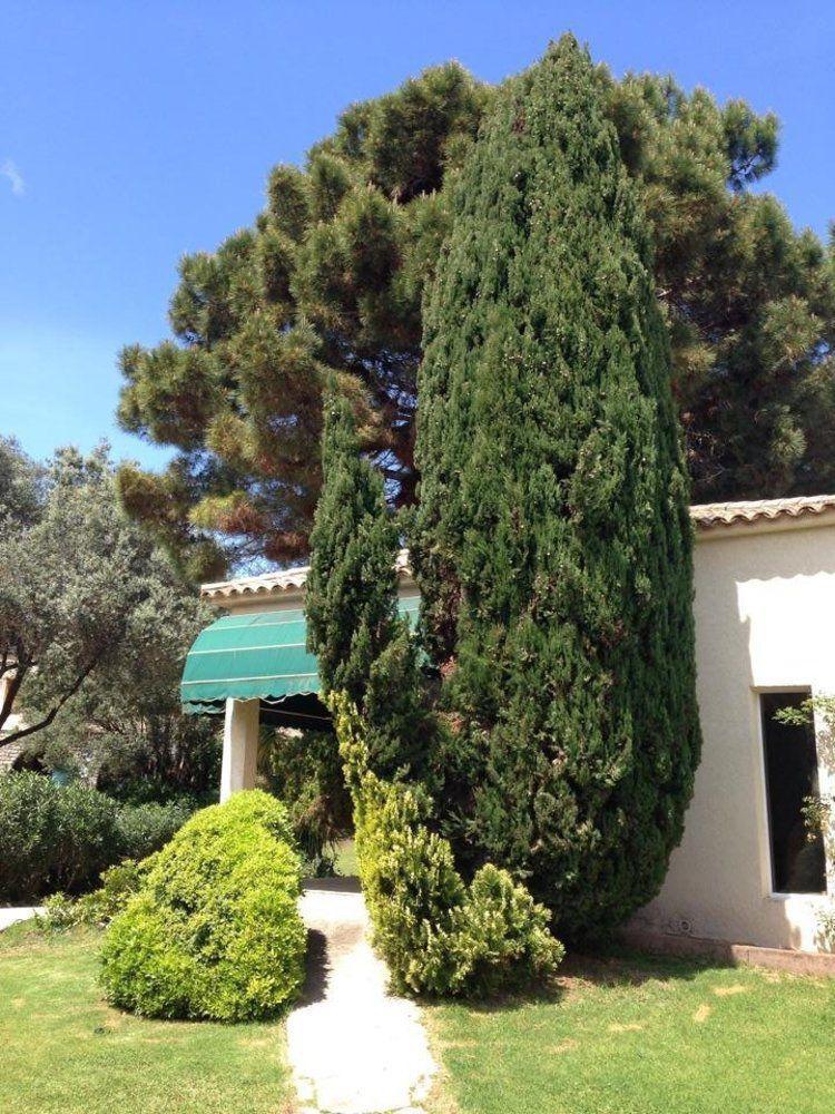 Résidence hôtelière A TRAMA Bonifacio  Extérieur photo